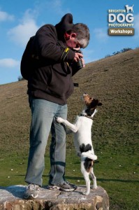 dog and pet photography workshop